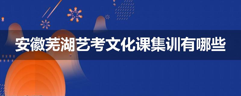 安徽芜湖艺考文化课集训有哪些