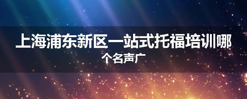 上海浦东新区一站式托福培训哪个名声广