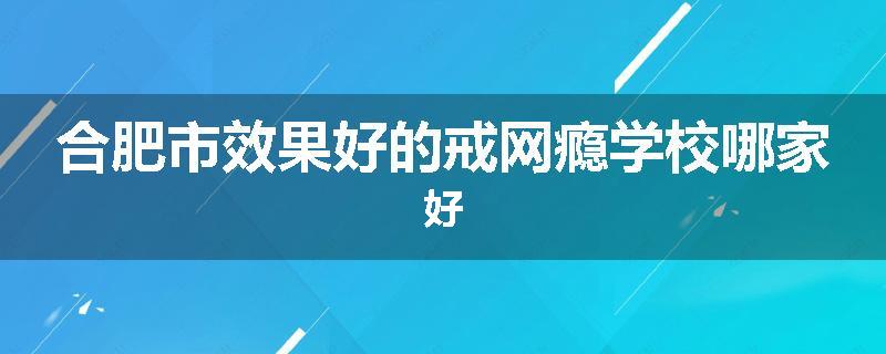 合肥市效果好的戒网瘾学校哪家好