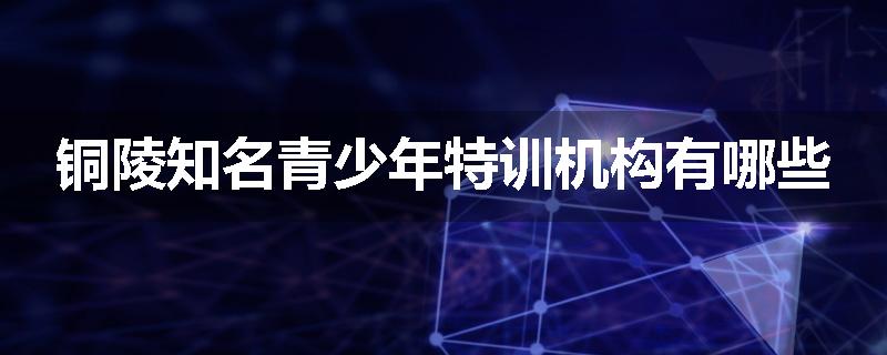 铜陵知名青少年特训机构有哪些