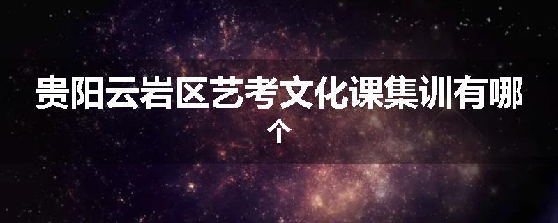 贵阳云岩区艺考文化课集训有哪个
