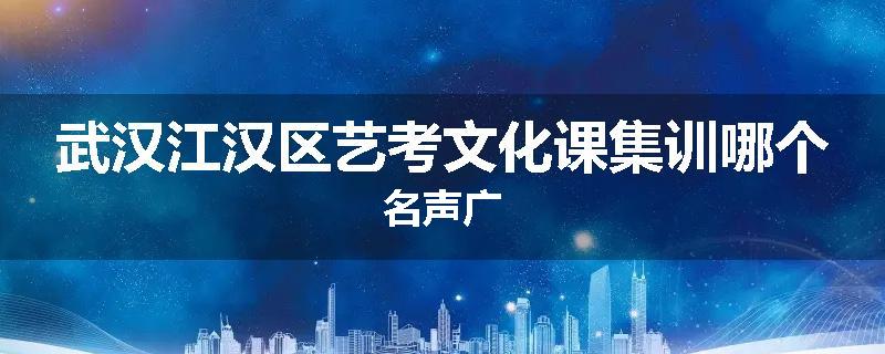 武汉江汉区艺考文化课集训哪个名声广