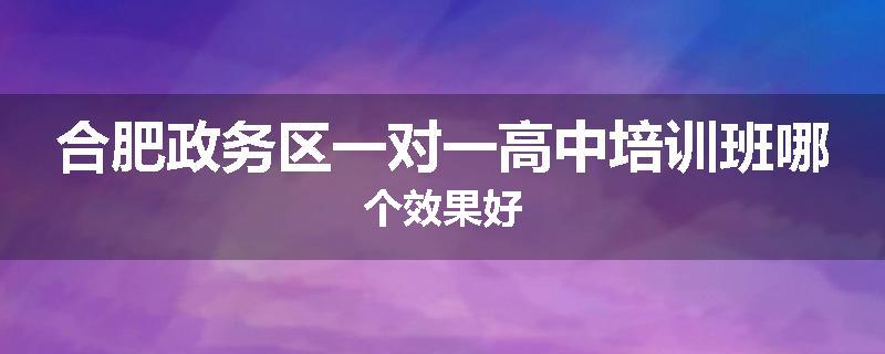 合肥政务区一对一高中培训班哪个效果好