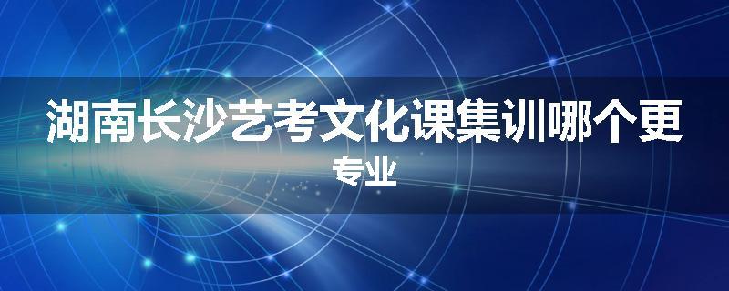 湖南长沙艺考文化课集训哪个更专业
