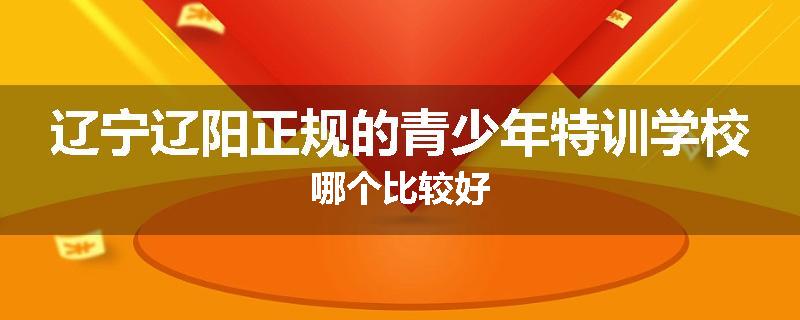 辽宁辽阳正规的青少年特训学校哪个比较好