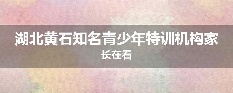 湖北黄石知名青少年特训机构家长在看