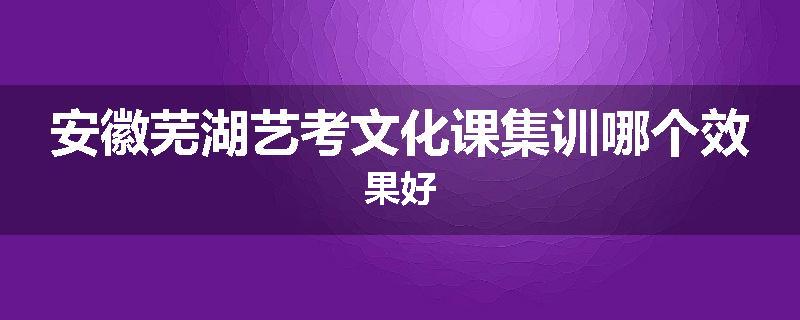 安徽芜湖艺考文化课集训哪个效果好
