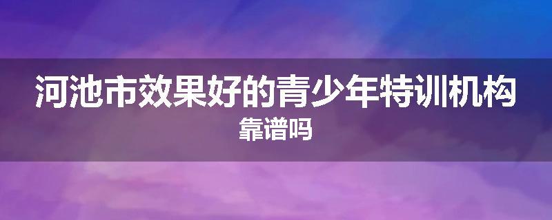 河池市效果好的青少年特训机构靠谱吗