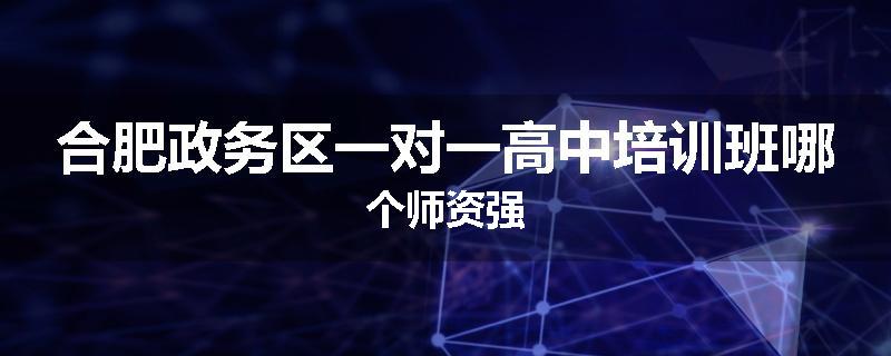 合肥政务区一对一高中培训班哪个师资强