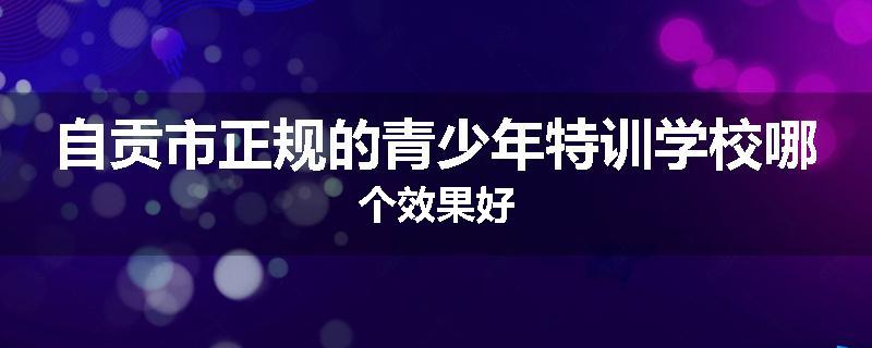 自贡市正规的青少年特训学校哪个效果好