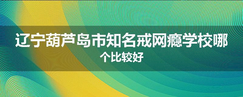 辽宁葫芦岛市知名戒网瘾学校哪个比较好