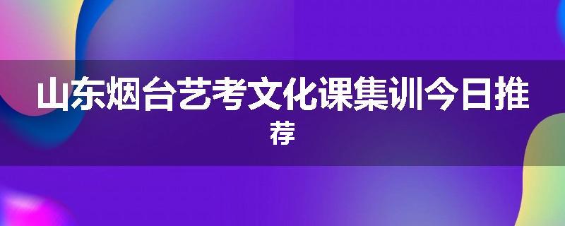 山东烟台艺考文化课集训今日推荐