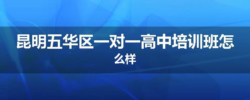 昆明五华区一对一高中培训班怎么样