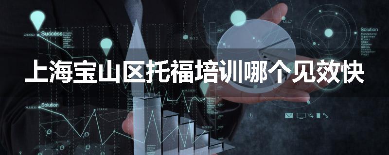 上海宝山区托福培训哪个见效快