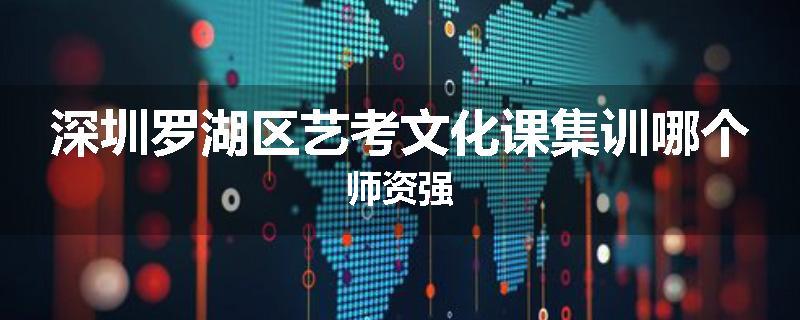 深圳罗湖区艺考文化课集训哪个师资强