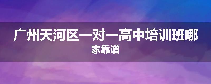 广州天河区一对一高中培训班哪家靠谱
