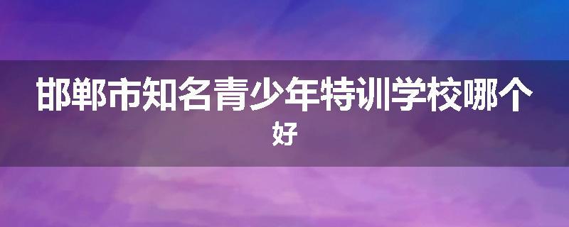 邯郸市知名青少年特训学校哪个好
