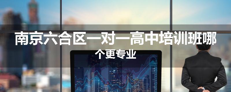 南京六合区一对一高中培训班哪个更专业