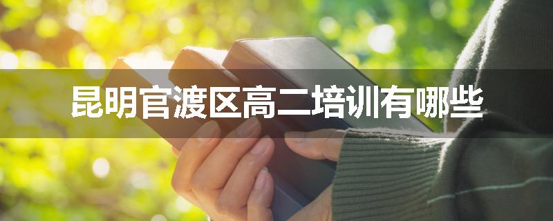 昆明官渡区高二培训有哪些
