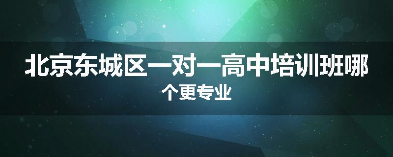 北京东城区一对一高中培训班哪个更专业