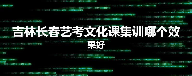 吉林长春艺考文化课集训哪个效果好
