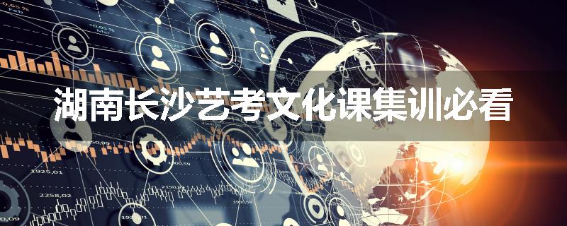 湖南长沙艺考文化课集训必看