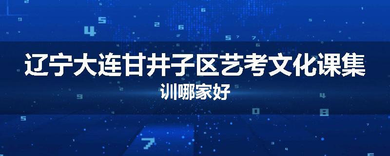 辽宁大连甘井子区艺考文化课集训哪家好
