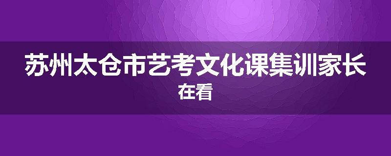苏州太仓市艺考文化课集训家长在看