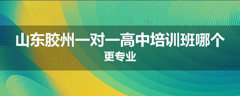山东胶州一对一高中培训班哪个更专业