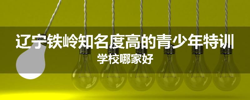 辽宁铁岭知名度高的青少年特训学校哪家好
