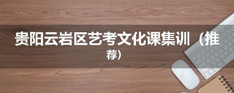 贵阳云岩区艺考文化课集训（推荐）
