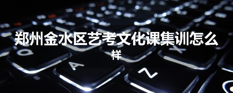 郑州金水区艺考文化课集训怎么样