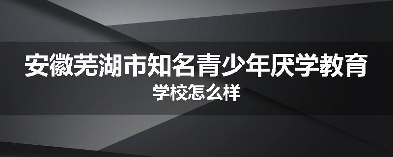 安徽芜湖市知名青少年厌学教育学校怎么样