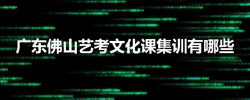 广东佛山艺考文化课集训有哪些