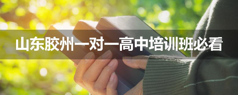 山东胶州一对一高中培训班必看
