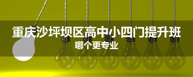 重庆沙坪坝区高中小四门提升班哪个更专业