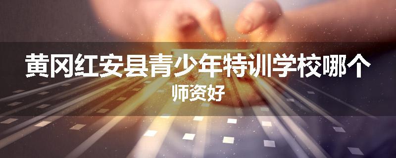 黄冈红安县青少年特训学校哪个师资好