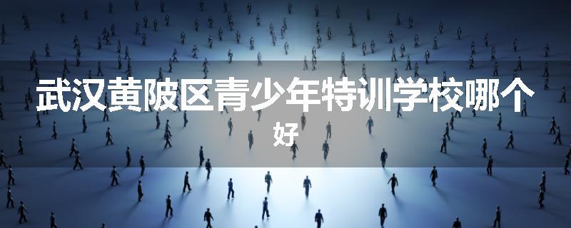 武汉黄陂区青少年特训学校哪个好