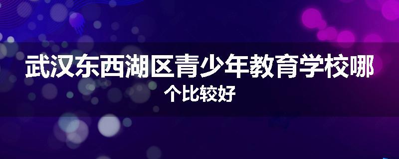 武汉东西湖区青少年教育学校哪个比较好