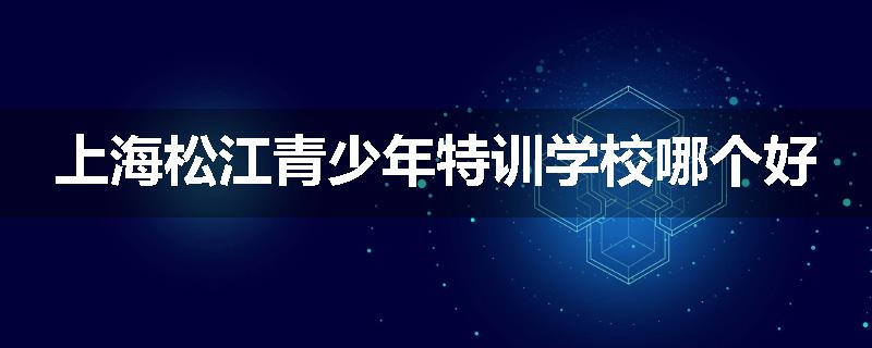 上海松江青少年特训学校哪个好