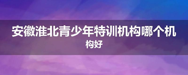 安徽淮北青少年特训机构哪个机构好