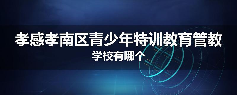 孝感孝南区青少年特训教育管教学校有哪个