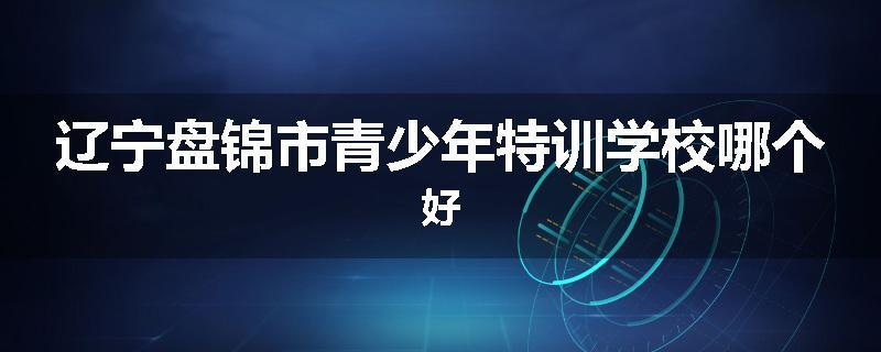 辽宁盘锦市青少年特训学校哪个好
