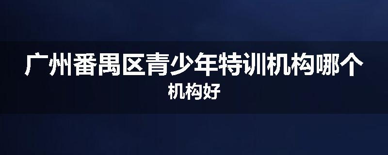 广州番禺区青少年特训机构哪个机构好
