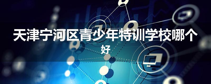 天津宁河区青少年特训学校哪个好