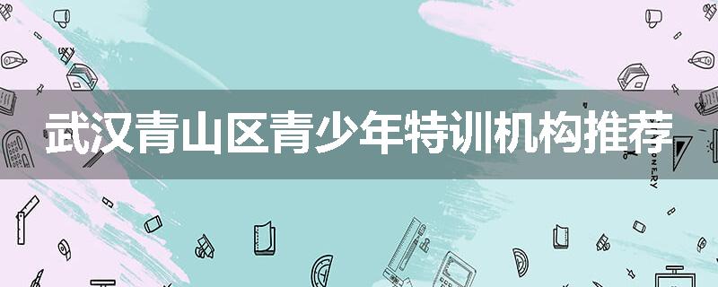 武汉青山区青少年特训机构推荐