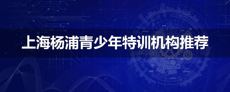 上海杨浦青少年特训机构推荐