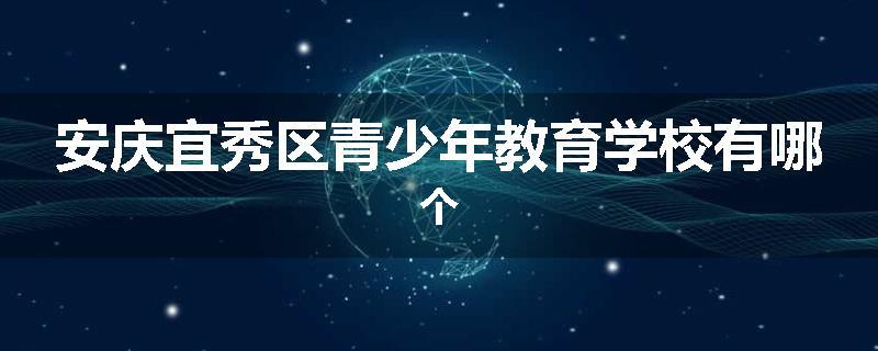 安庆宜秀区青少年教育学校有哪个