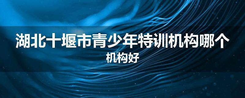 湖北十堰市青少年特训机构哪个机构好