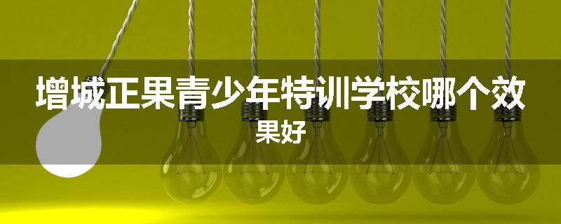 增城正果青少年特训学校哪个效果好